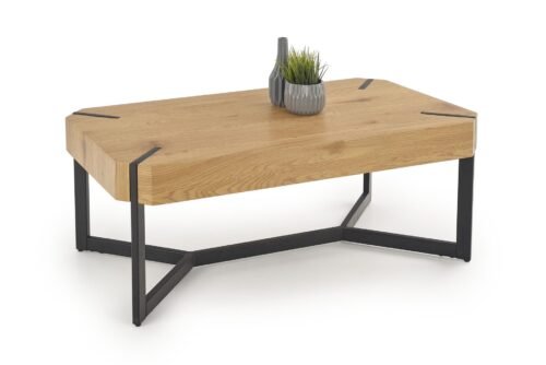 LAVIDA round table