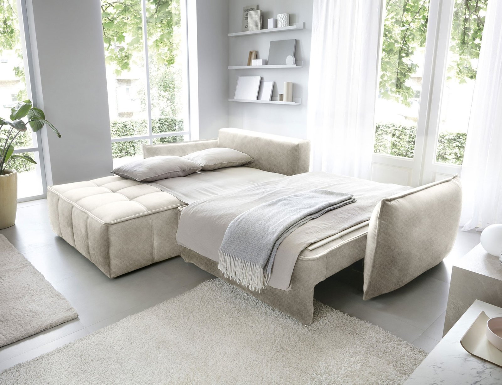 Campo - Image 4