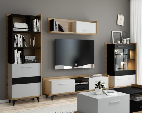 BOX #1 living room furniture, wall cabinet, bookshelf, TV cabinet, shelf, artisan showcase, cabinet