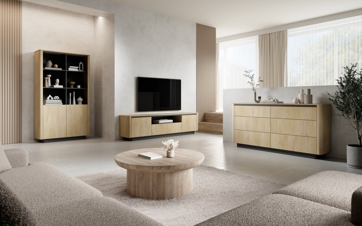 Scandinavian style living room wall cabinet Torro furniture