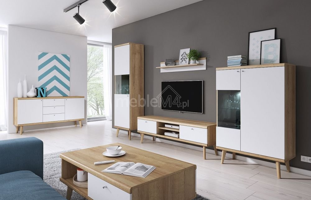 Scandinavian TV cabinet Primo PRTV107 - Image 2