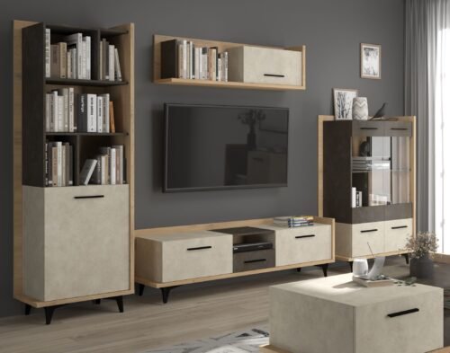 BOX #1 living room furniture, wall cabinet, bookshelf, TV cabinet, shelf, display case, Cremona