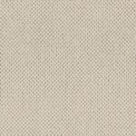 Curio - -09