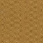Curio - -48