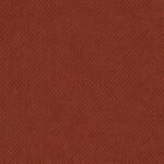 Curio - -55