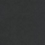 Curio - -97