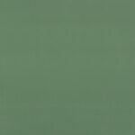 Light green_Zielony jasny