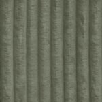 Tilia-37