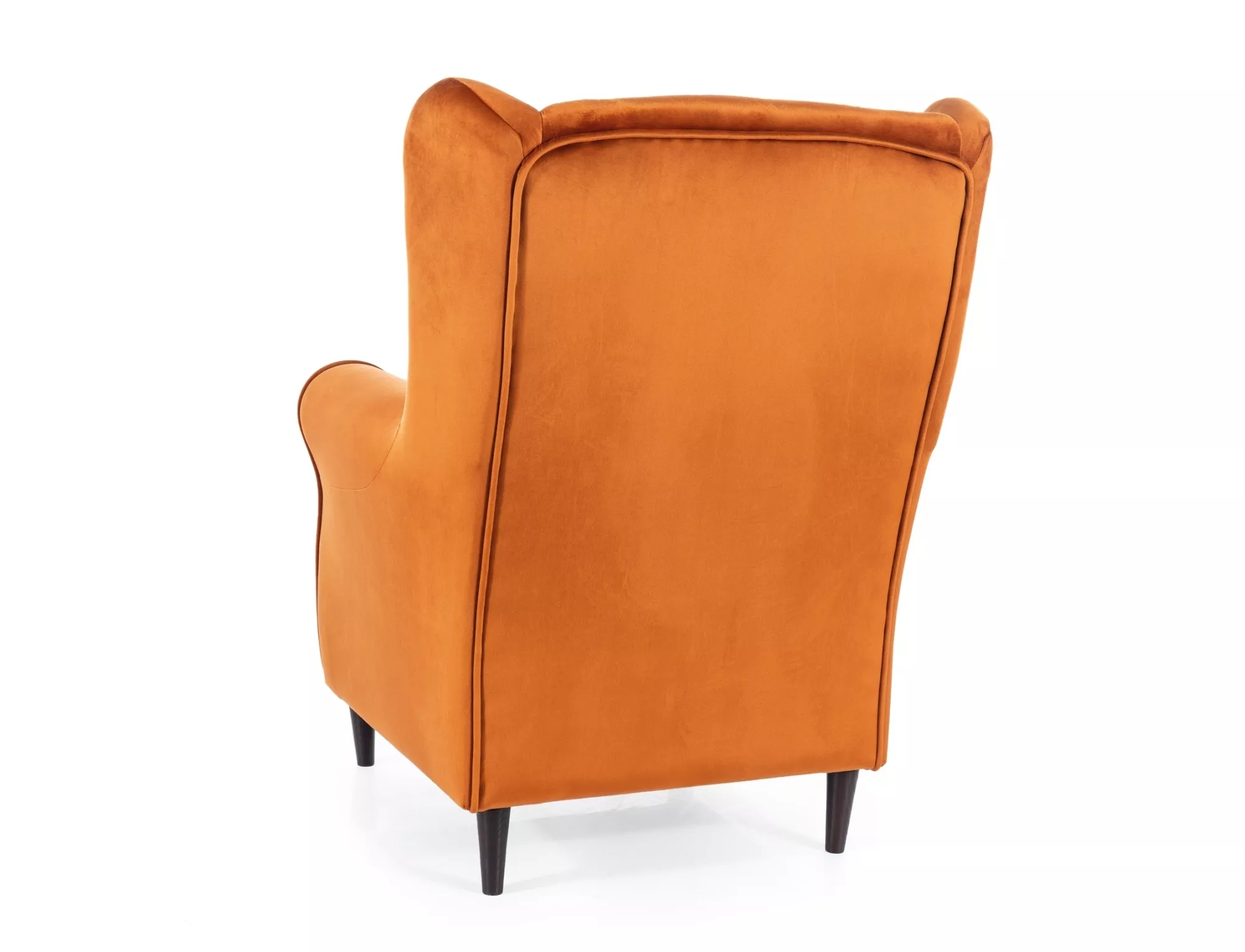 Baron velvet armchair BARONV4215 - Image 2
