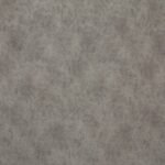 goya-19-