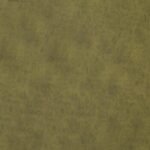 goya-21-