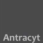 płyta antracyt