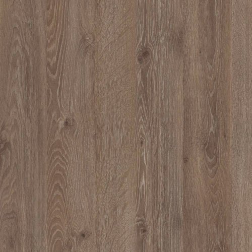DALLAS-23 - 2D2S shelf, oak color, truffles - Image 3
