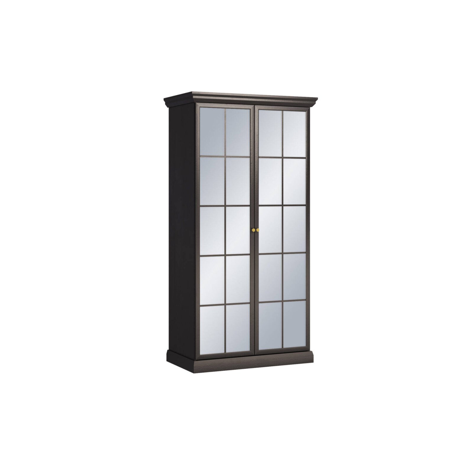 Lucca S2DL - Two-door wardrobe with mirror, black graphite/artificial oak