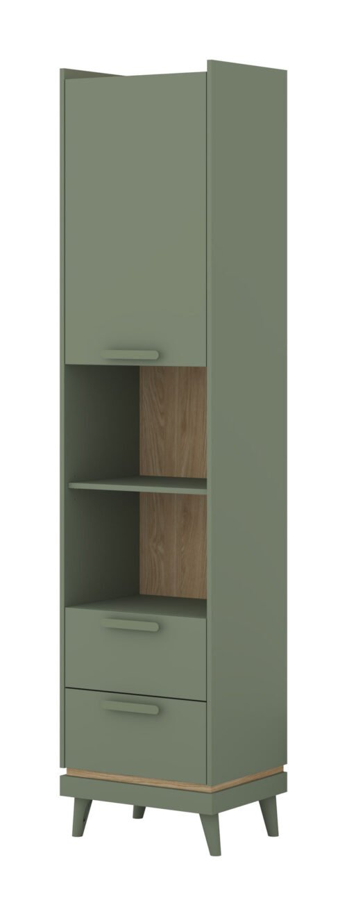 Scandi – Shelf 1D2S Dusty green oiled oak color