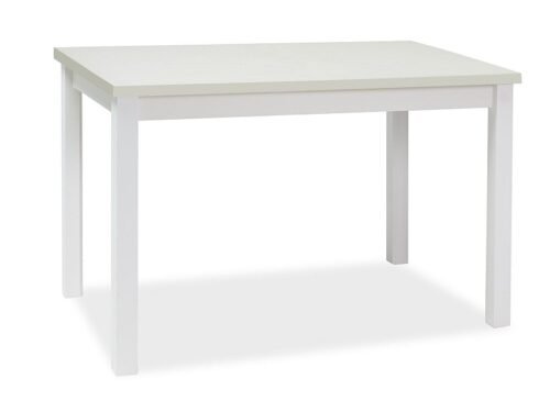 Adam 100 table ADAMBM100