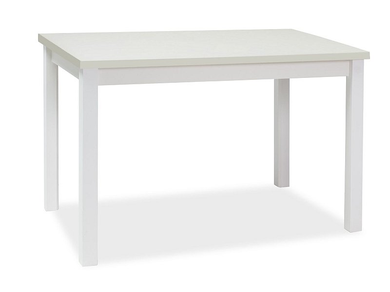 Adam 100 table ADAMBM100