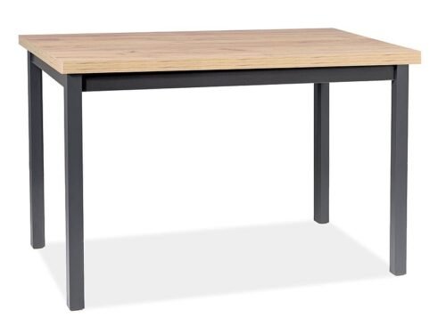 Adam 120 table ADAMDAC120