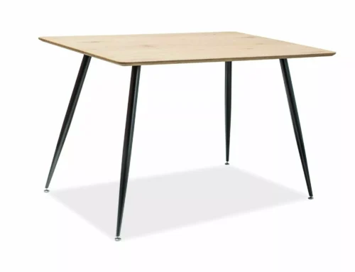 Remus table REMUSD120