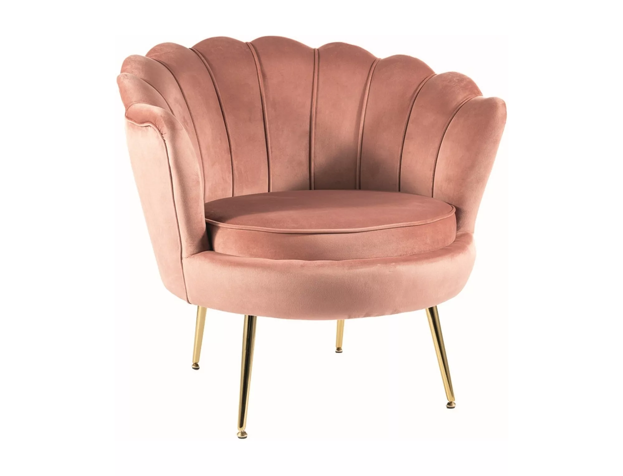 Camellia 1 velvet armchair CAMELLIAV1RAZL