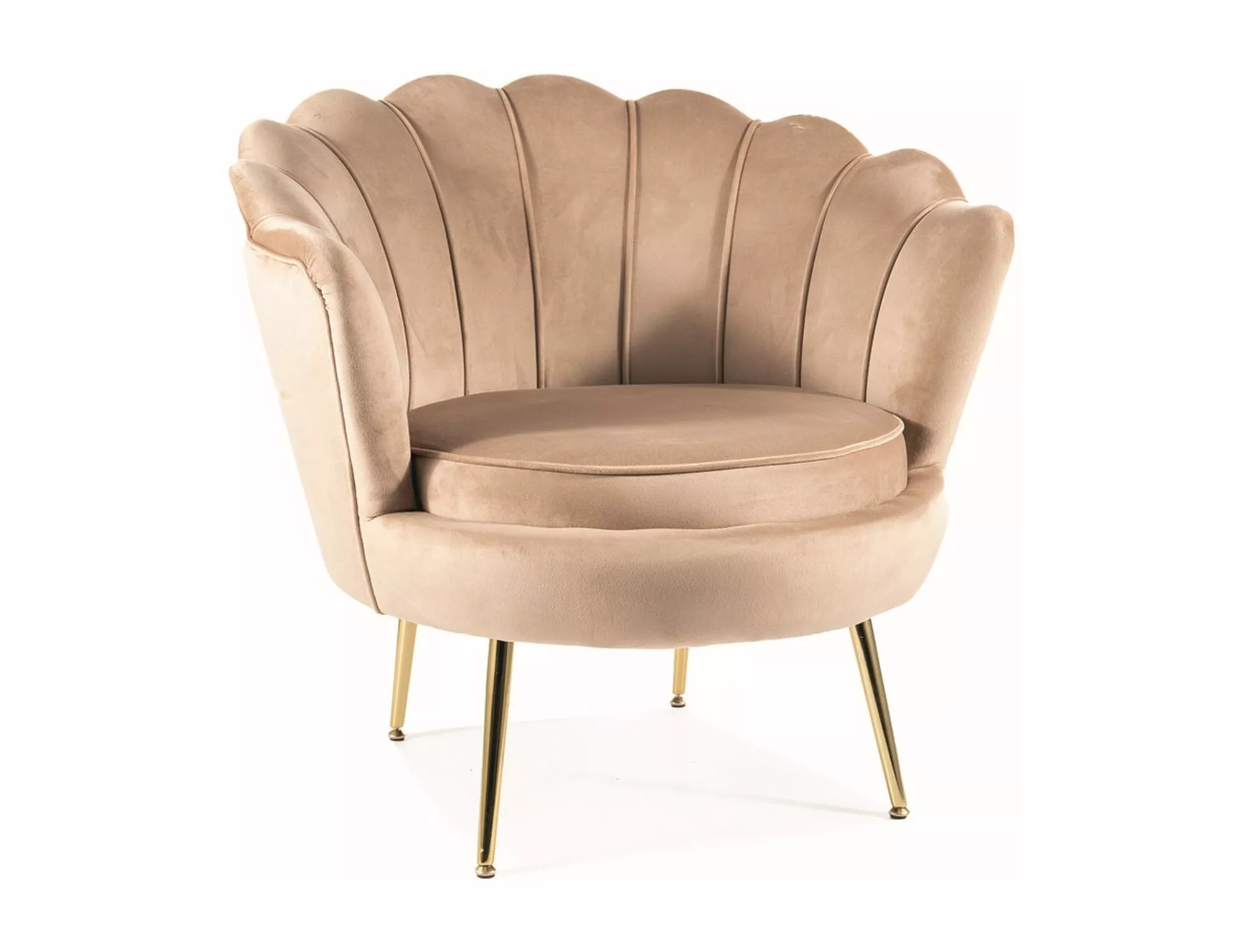 Camellia 1 velvet armchair CAMELLIAV1BEZL