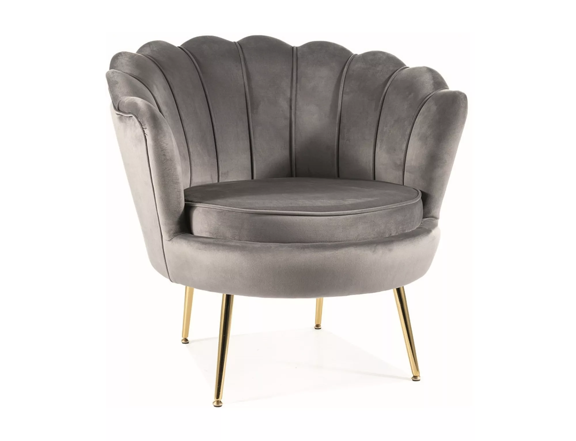 Camellia 1 velvet armchair CAMELLIAV1SZZL