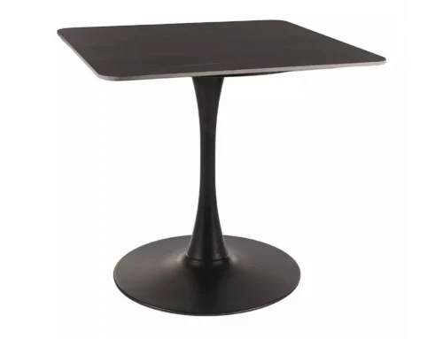 Espero II table ESPEROIICC80