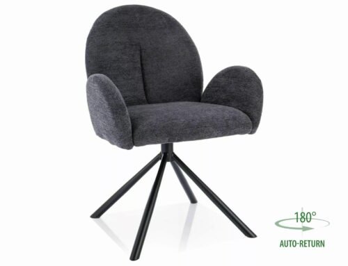 Planet Raven PLANETRCCSZ chair