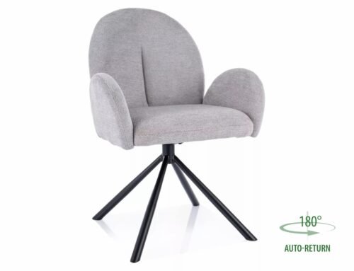 Planet Raven PLANETRCSZ chair