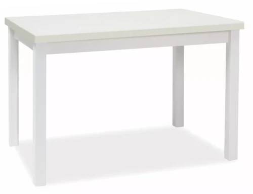 Adam 120 table ADAMBM120