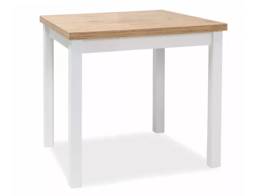 Adam 80 table ADAMDLBM80