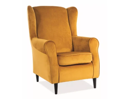 Baron velvet armchair BARONV68