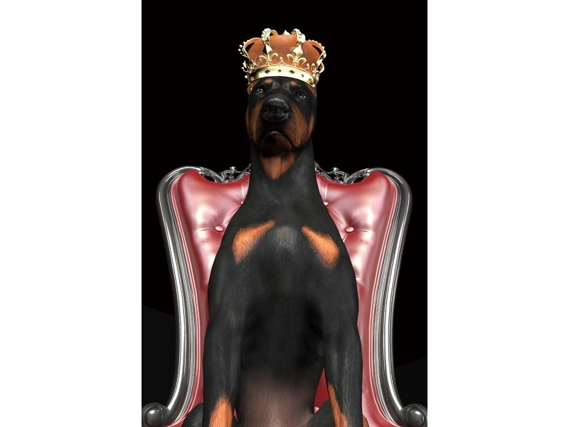 Dog in a crown image DOGINCROWN80