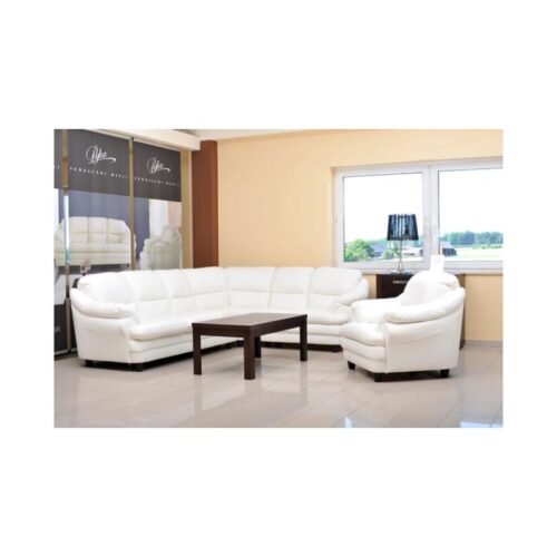 SARA corner sofa leather 220×280