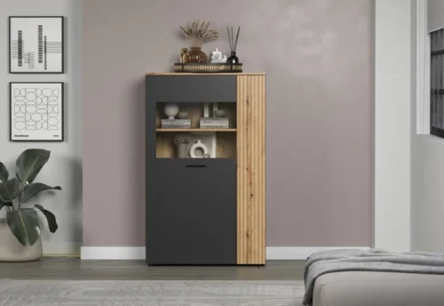 ESTEBAN low display cabinet 1d1w graphite / oak evok