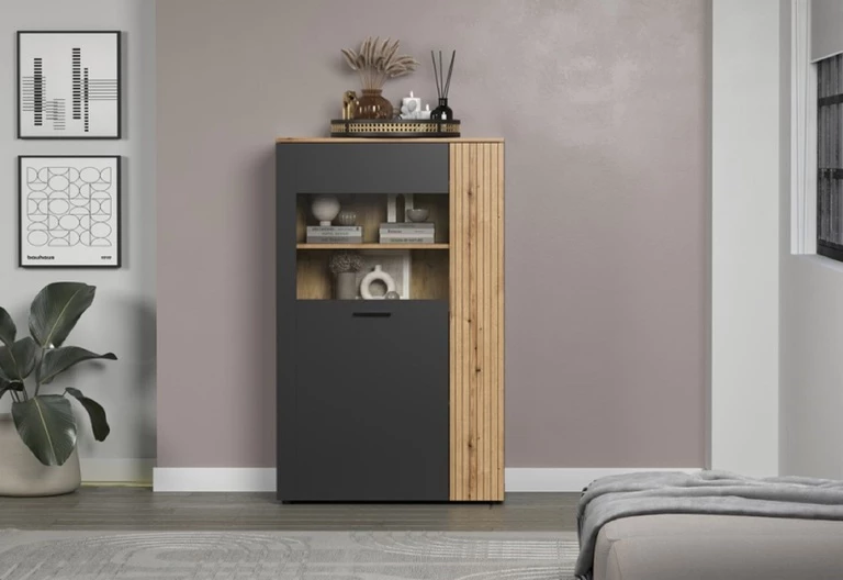 ESTEBAN low display cabinet 1d1w graphite / oak evok