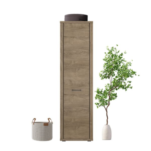 CORDAN 1D shelf