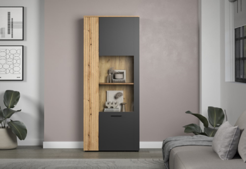 Showcase ESTEBAN 1d1w graphite / oak evok