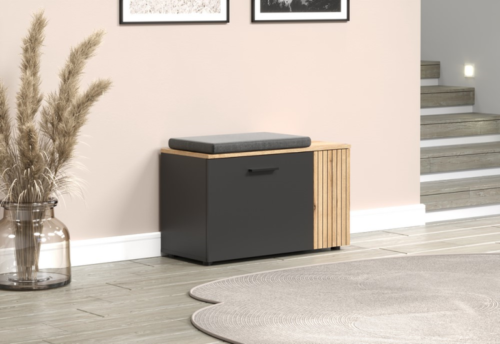 ESTEBAN shoe cabinet 2D graphite / oak evo