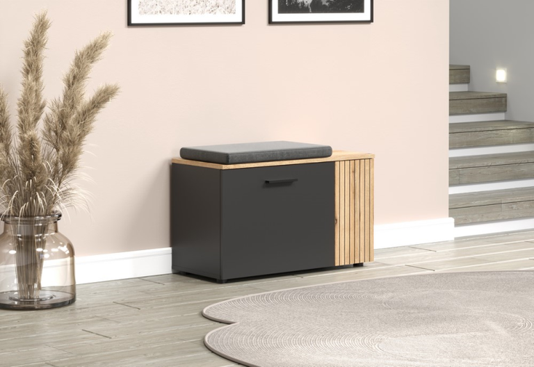 ESTEBAN shoe cabinet 2D graphite / oak evo