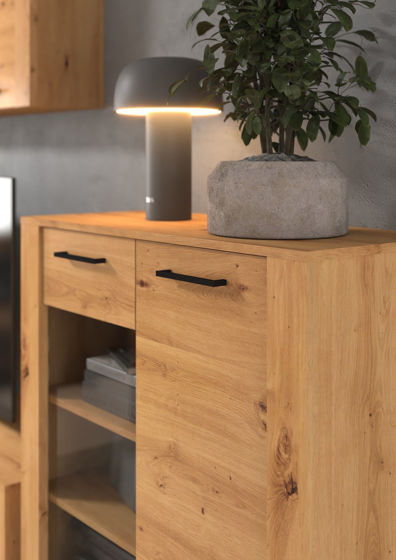 SLIDE 03 furniture, large chest of drawers with doors for the living room, oak - Image 3