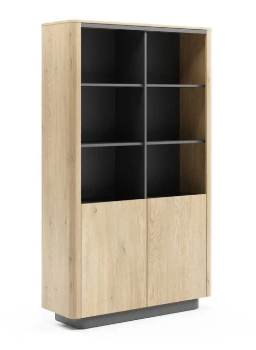 Torro bookcase with cabinets and shelves
