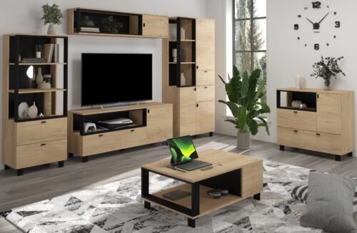 VEGAS #7 living room furniture: bookshelf, TV cabinet, chest of drawers, hanging shelf, coffee table