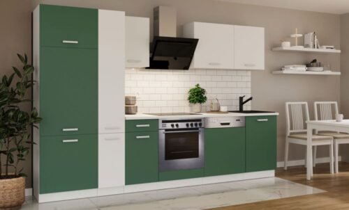 Kitchen set with countertop, kitchen 300 cm Toni green labrador