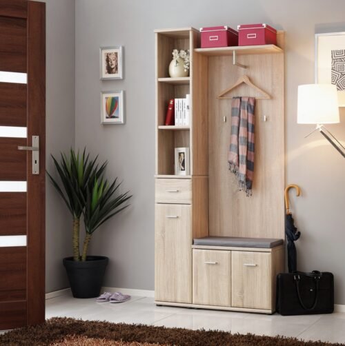 Armario cabinet and ASM kit