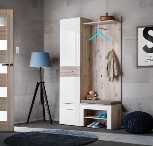 Gustavo V wardrobe with ASM cushion