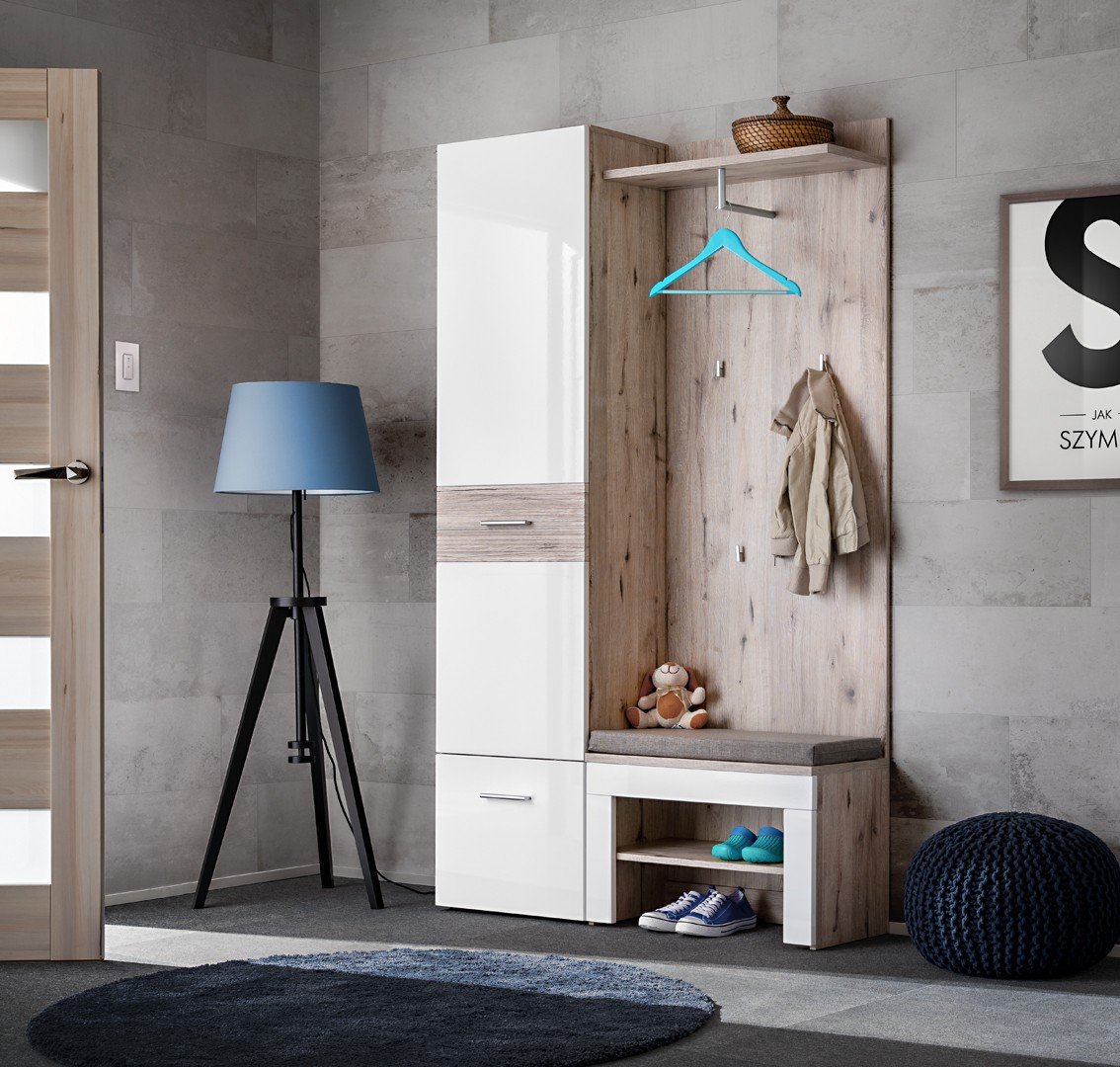 Gustavo V wardrobe with ASM cushion