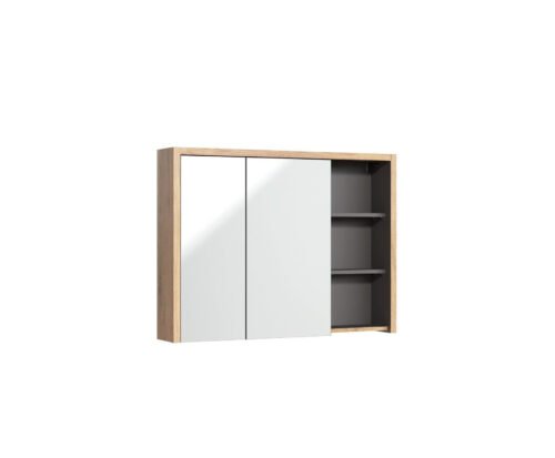 Devon 846 – Mirror cabinet 100 2D
