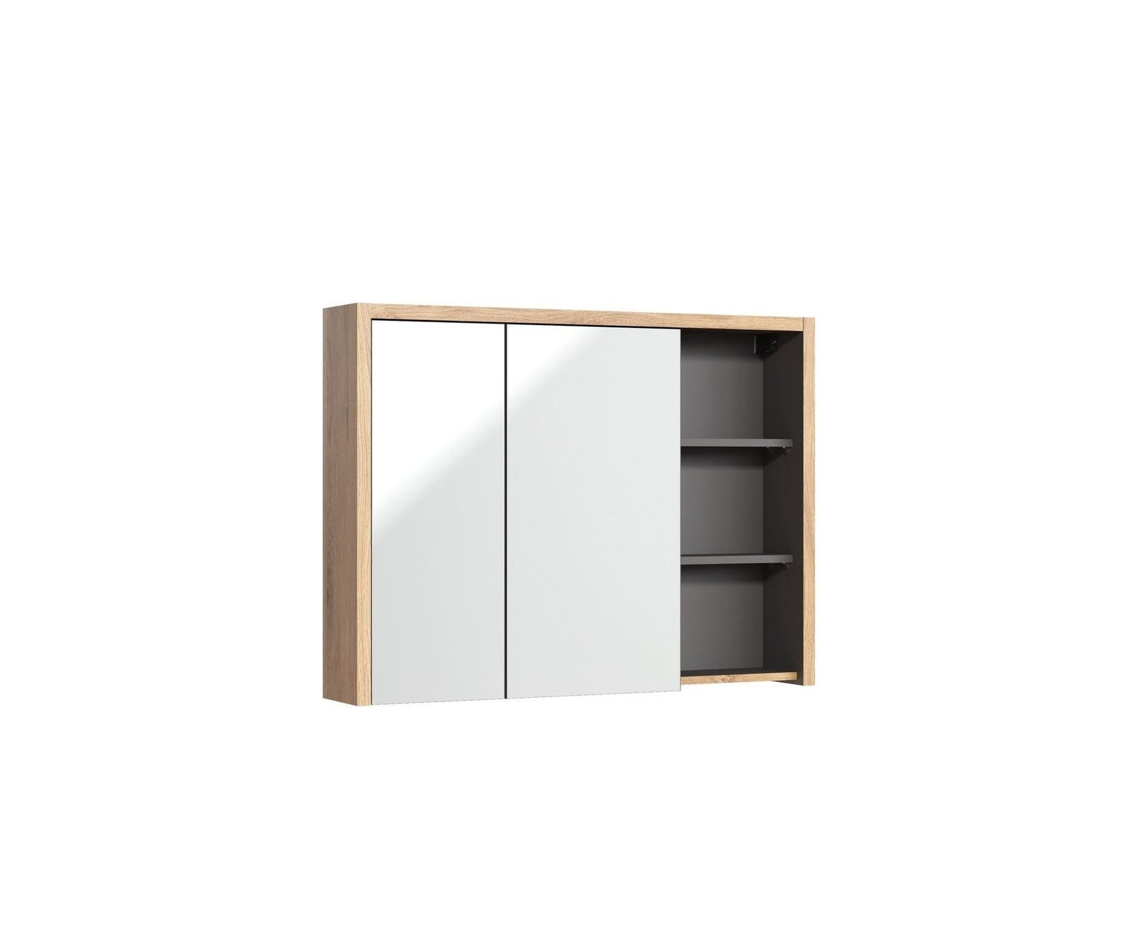 Devon 846 - Mirror cabinet 100 2D