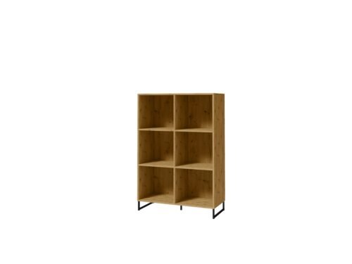 ARIA Artisan/black ADRK bookcase